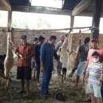 2fae1f69-9fe0-4ab7-85be-b6b9ed290c39